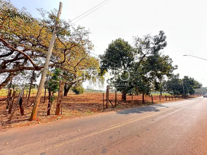 área - Santa Terezinha - Paulínia