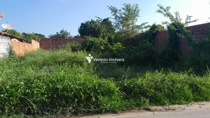 Terreno na Pedra Mole para aluguel