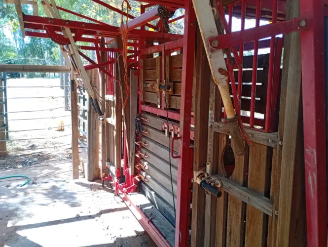 Tronco pra Gado Progresso C/ Balança