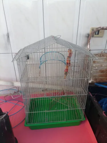 Gaiolas twister/hamster