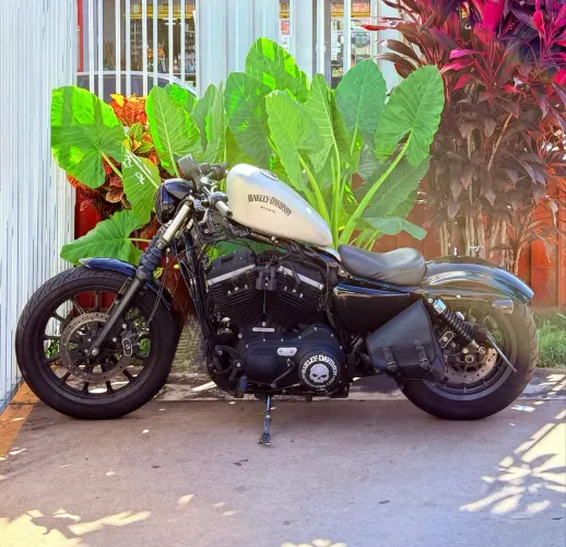 Harley Davidson 883 2015 customizada