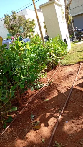 Irrigação e paisagismo com qualidade 