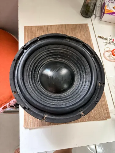 Subwoofer Audiophonic C10D2 10 polegadas bobina dupla