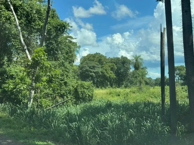 Venda 8ha em Miranda