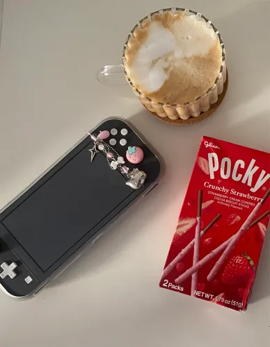Nintendo Switch Lite Gray