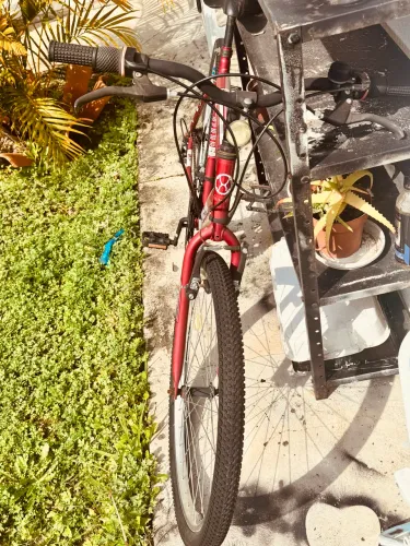 Bicicleta