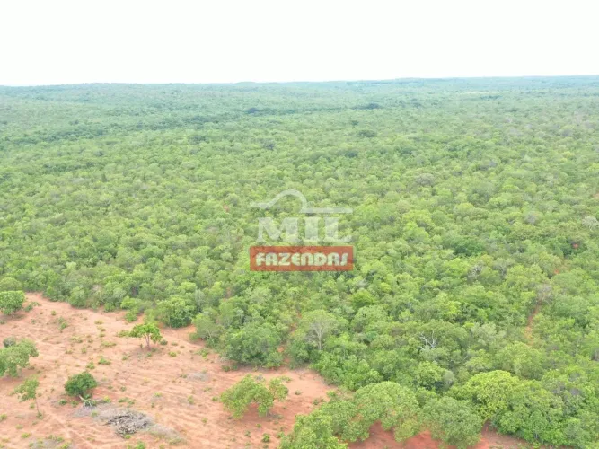 Fazenda com Potencial de Valorização Área Total: 107 Alqueires (518 Hectares) em Natividad