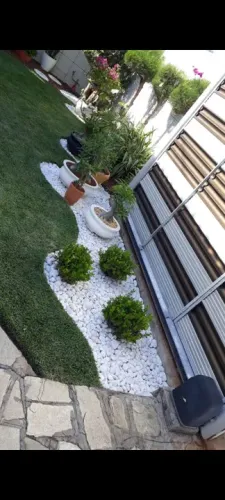 MANUTENÇÃO DE JARDIM, PLANTIO DE GRAMA, PODA DE ARVORE , APLICAÇÃO DE ADUBOS E VENENOS!