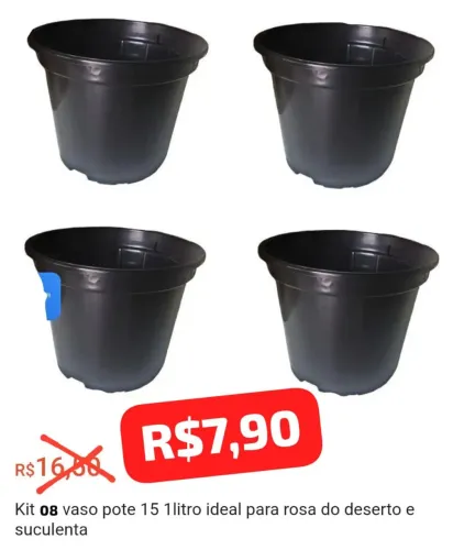 Kit 08 Vasos de Plantas 15 Litros Rosa do Deserto e Suculentas