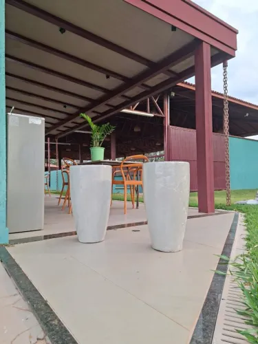 Vasos e plantas