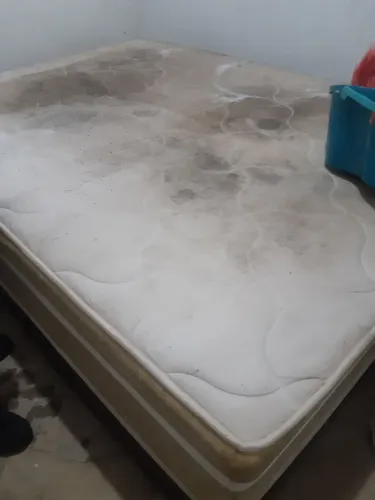 Limpeza contra mofo em estofados 