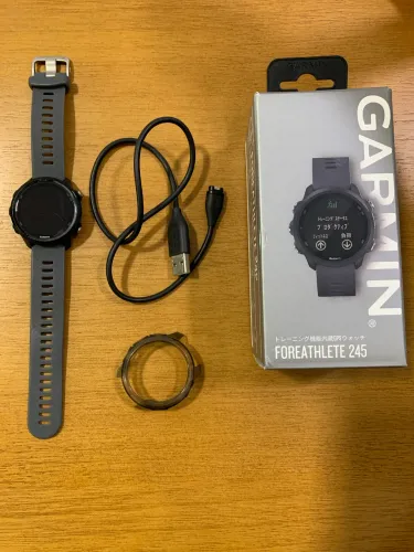 GARMIN 245