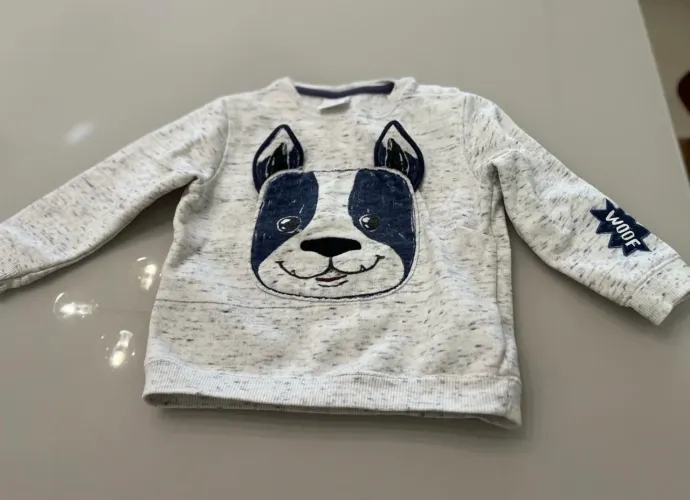 blusa de moletom infantil Zara