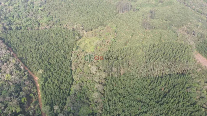FAZENDA com 2 dormitórios à venda com 1331000m² por R$ 4.680.000,00 no bairro TUNAS - TUNA