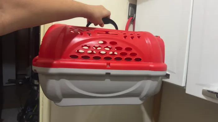 Caixa de cachorro