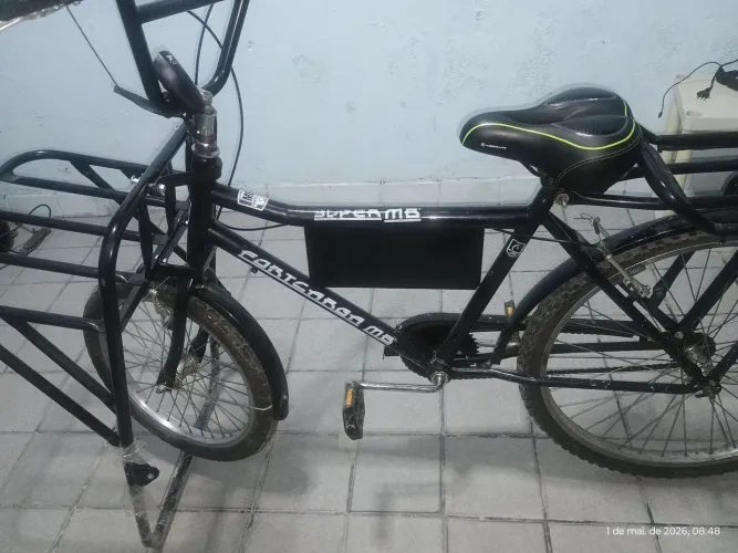Bicicleta de carga