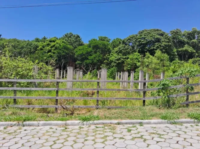 Terreno para Venda em Florianópolis, São João do Rio Vermelho