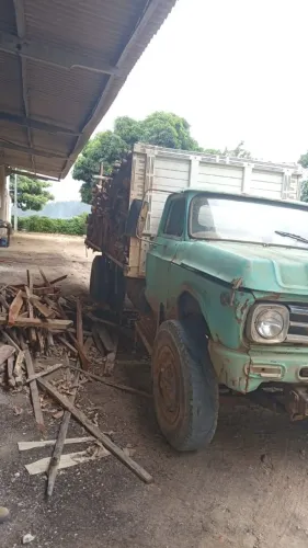 Vendo caminhão (leia)