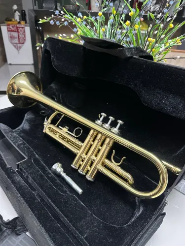 Trompete Michael WTRM30N Dourado - Estado de Novo + Estojo e Acessórios
