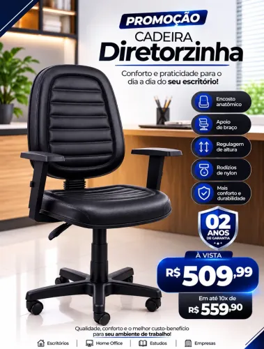Cadeira Diretorzinha 2 anos de garantia
