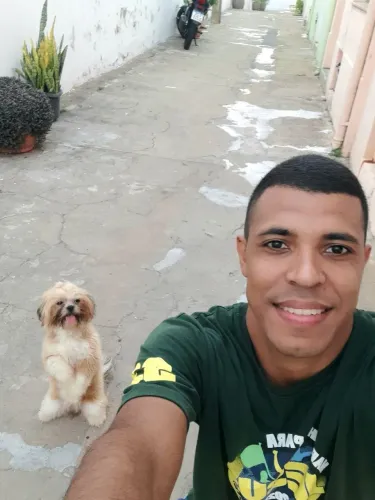 Adestramento passeio com cães