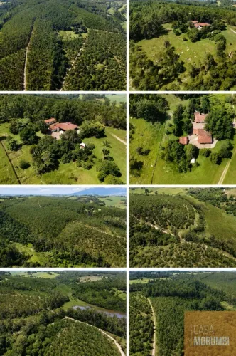 Fazenda de eucalipito a venda 387,20 Hectares precisa de liberação Judicial proximo a Rio