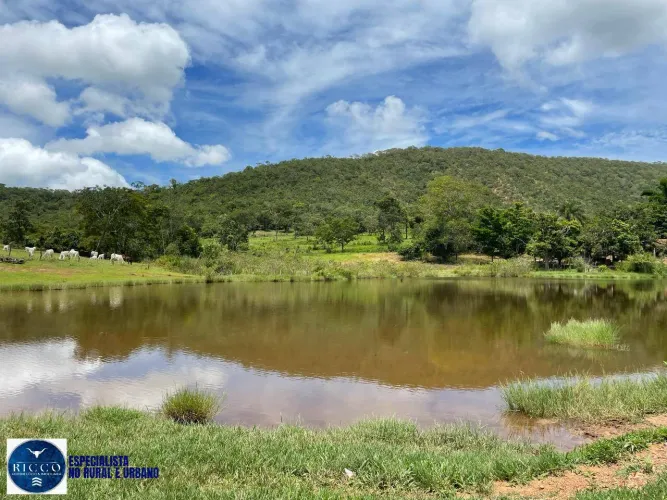FAZENDA À VENDA EM SANTA CRUZ DE GOIÁS 56 ALQUEIRES | BEIRA DE RIO