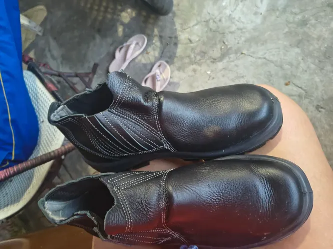 Bota