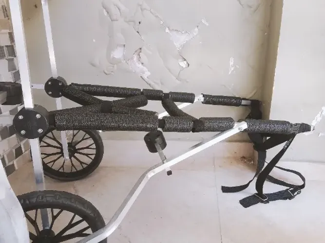 Cadeira de rodas pet