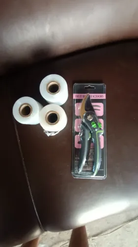 Tesoura de poda com fita de enxerto 