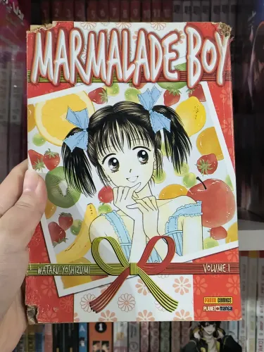 Mangá Marmalade Boy Volume 1 (Amarelado do tempo, comido nos cantos mas não afeta leitura)