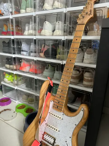 Guitarra SX Ash Séries