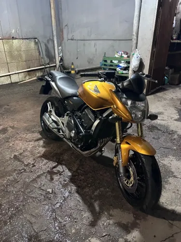 Honda hornet