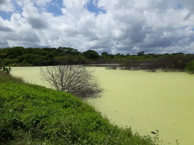 Propriedade à venda (33 hectares) Sítio Campo Alegre, Piancó-Pb