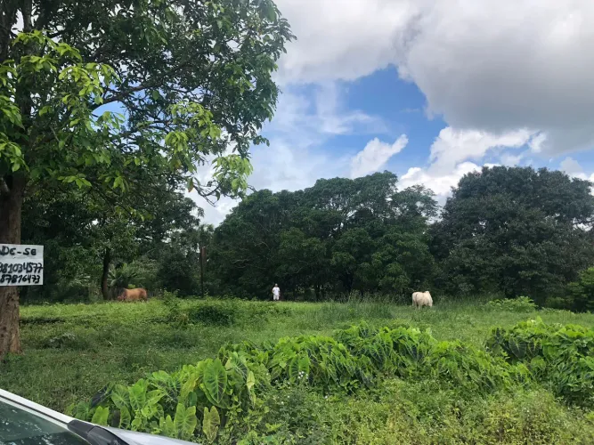 Vende-se terreno 42x65 na sede Santa Rita 