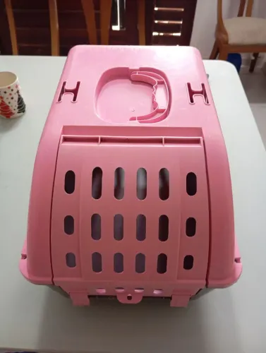 Transporte pra pet 