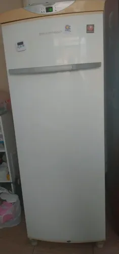 Freezer vertical