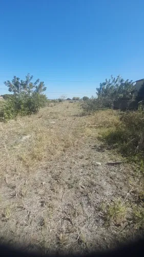 Terreno para casa e comércio 