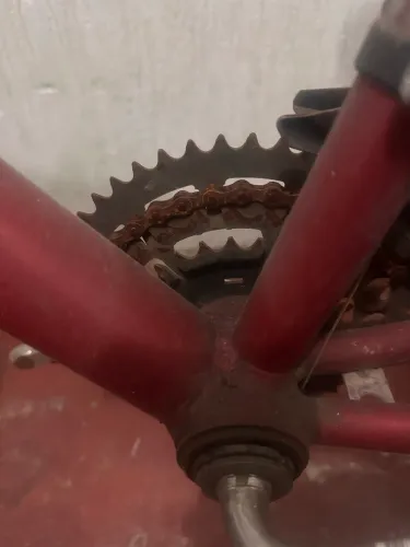 Bicicleta