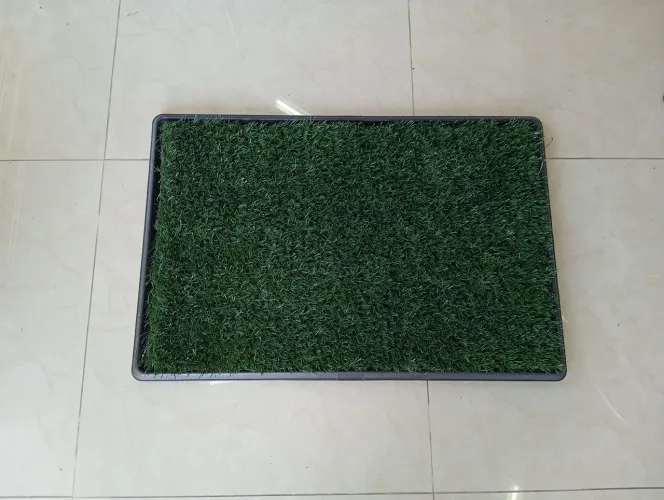 Sanitário canino
