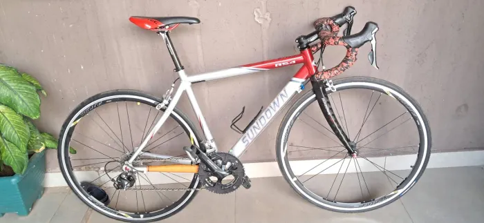 Bicicleta speed