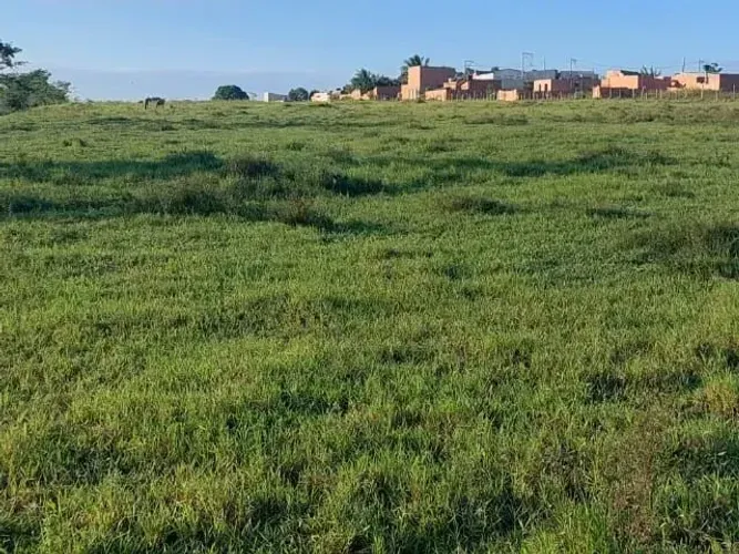 TRÊS ALQUEIRES DE FRENTE A ESTRADA PÚBRICA DO  PIRIQUITO