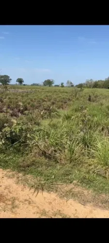 Terreno a venda