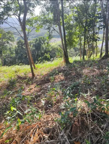 lote Rio do meio