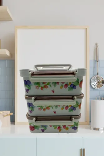 CONJUNTO DE POTES DE PLASTICO 