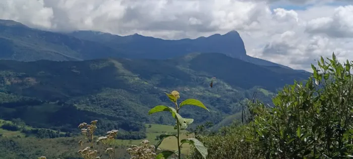 10 HECTARES À VENDA EM AIURUOCA - MG | REGIÃO DO BAIRRO CANGALHA