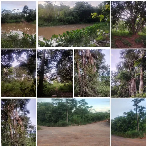 Terra a venda