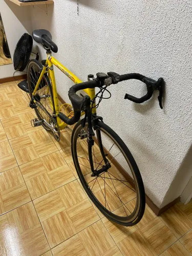 Speed basso coral