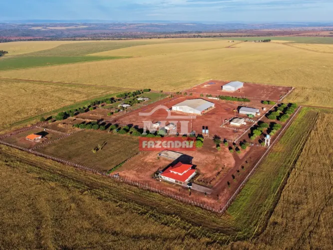Fazenda 464 Alqueires (2.245 hectares) Doverlândia - GO