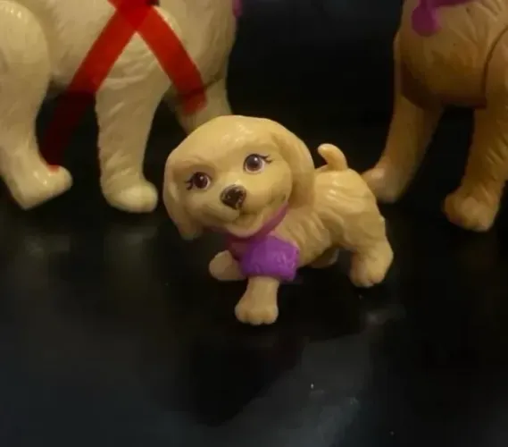Cachorro pequeno barbie piscina